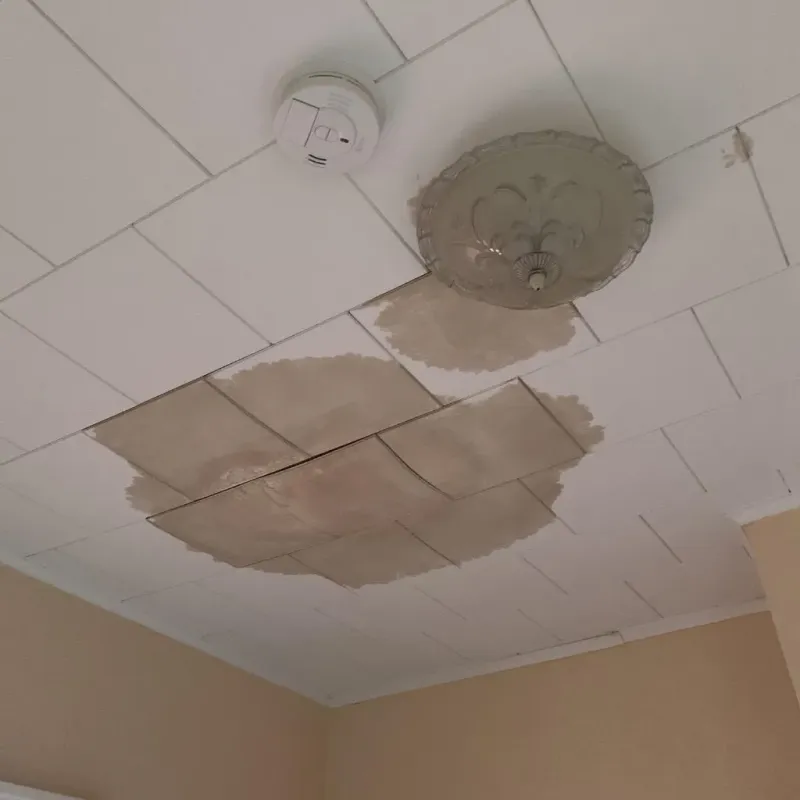 Ceiling Water Damage Repair in Caledonia, NY