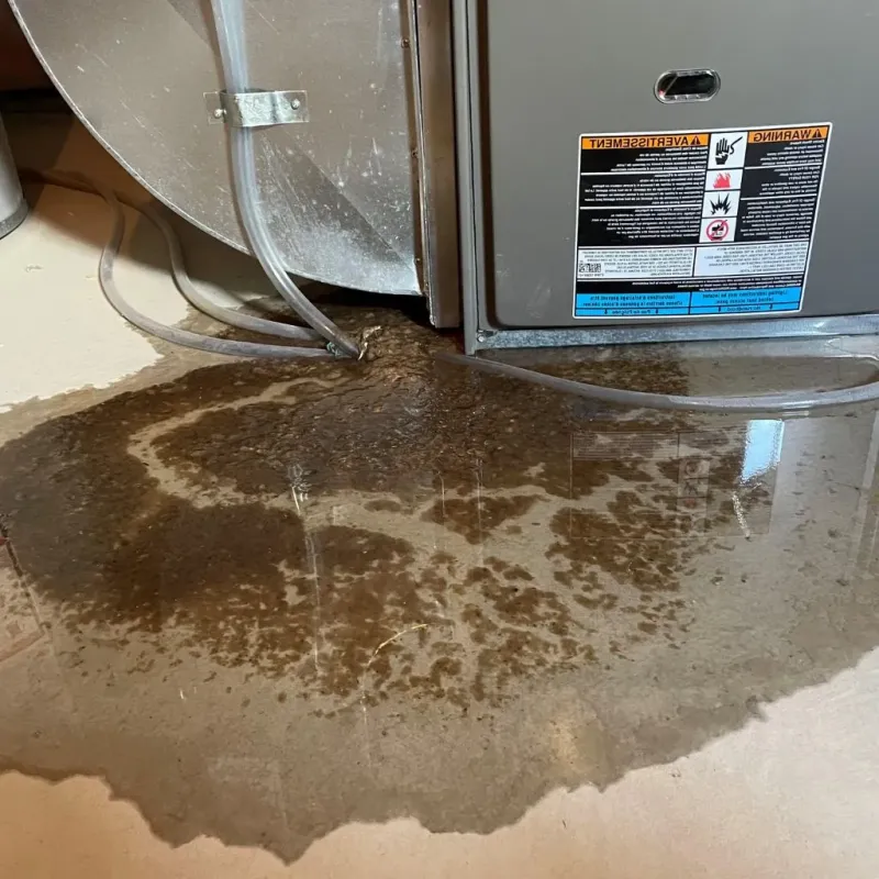 Pipe Burst and Leak Restoration in Caledonia, NY
